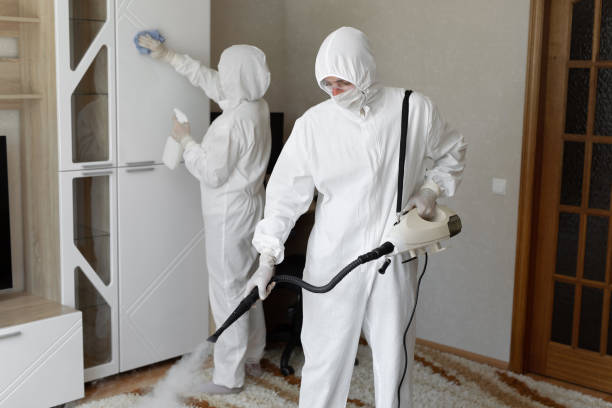 Best Mold Removal Company Near Me  in Hoboken, NJ