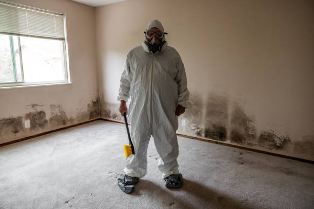 Best Emergency Mold Removal  in Hoboken, NJ
